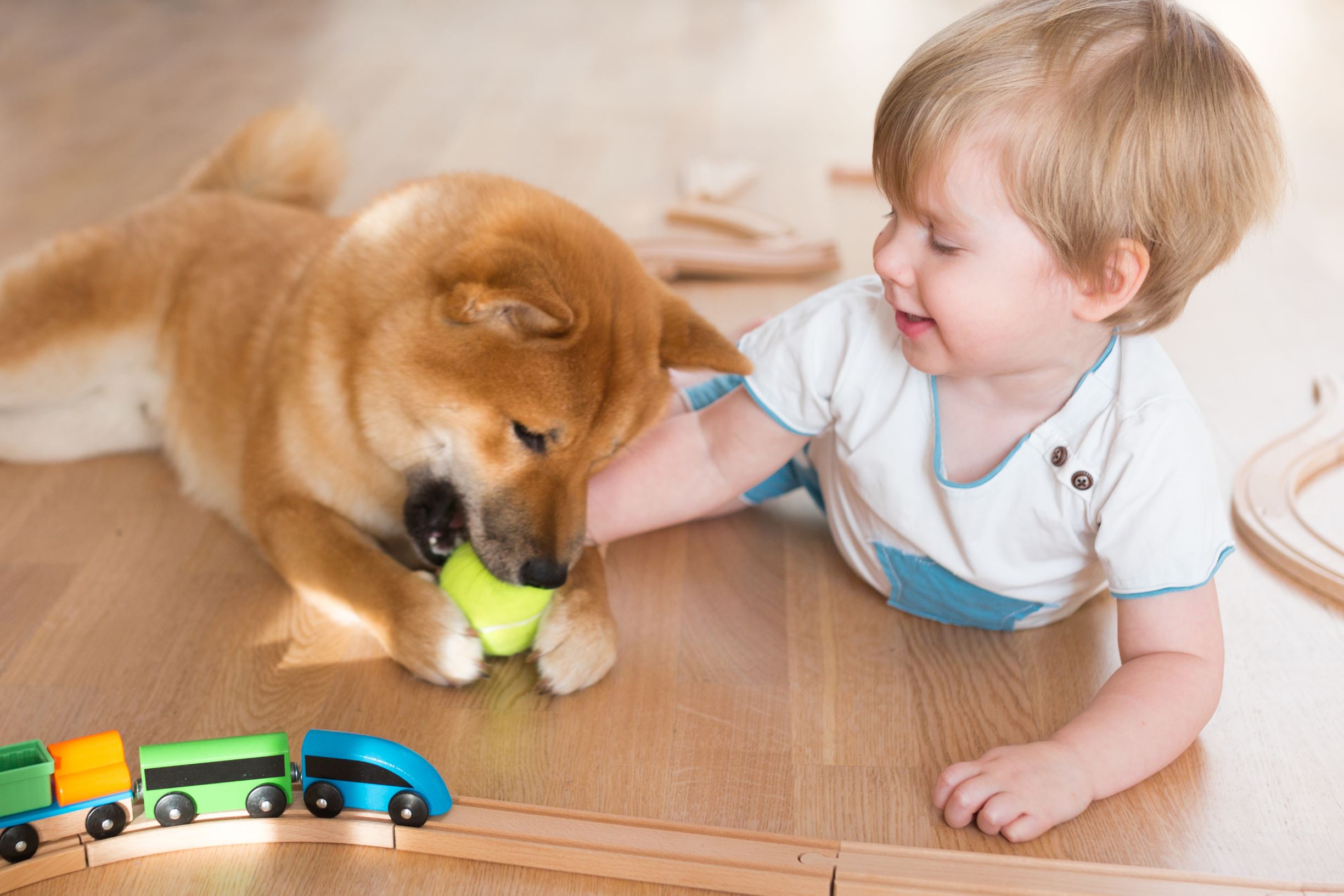 9 Best Flooring Options for Families With Kids And Pets